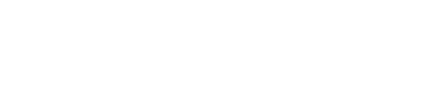 nexibee-light